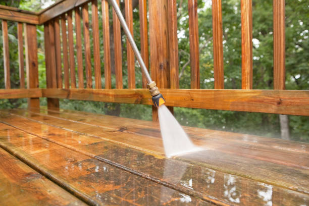 Best Exterior Home Cleaning  in Chincoteague, VA